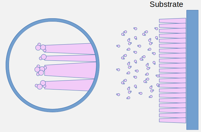 Columnar thin film growth